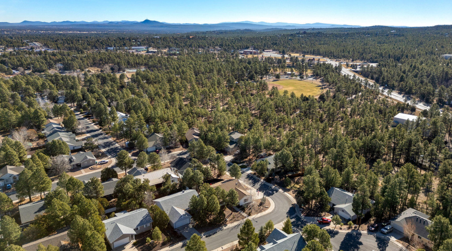 Aerial View of Community