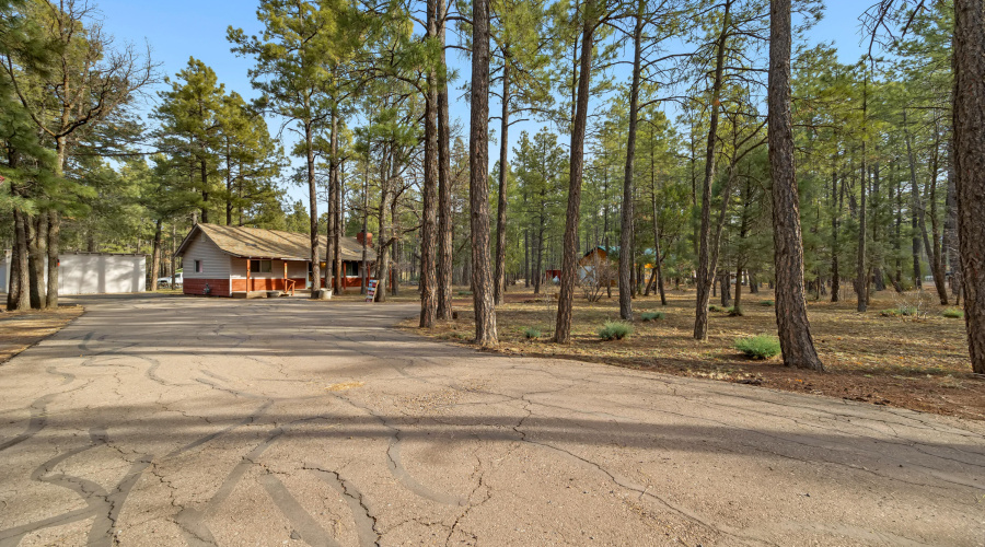 2954SummerDr-Lakeside-AZ-4