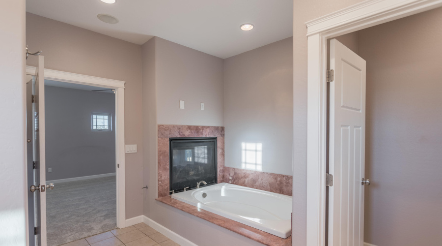 Primary Tub Fireplace