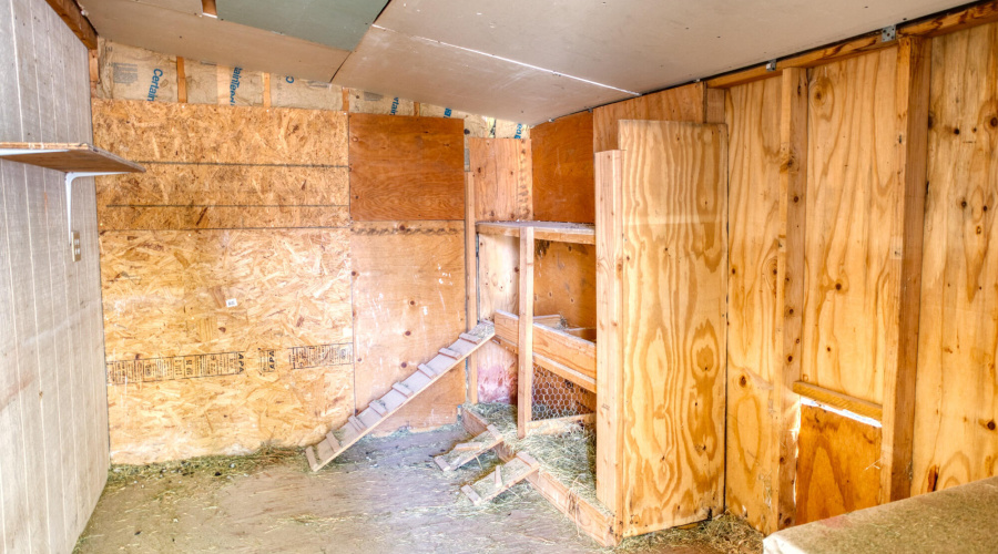 Storage/Chicken Coop