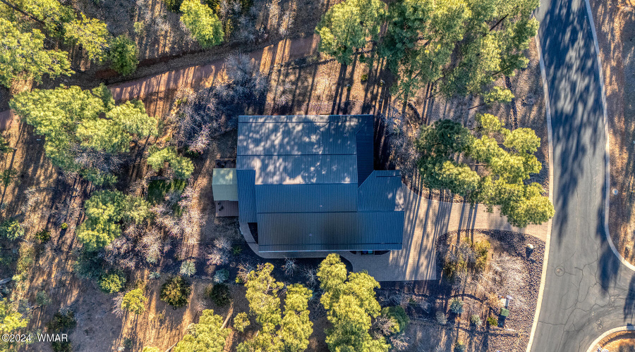 Aerial view of tree covered lot