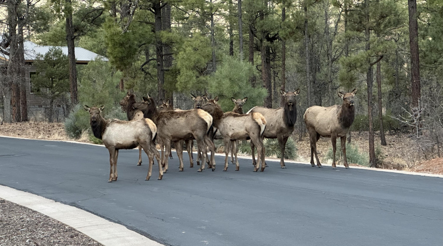 Neighbor watch committee