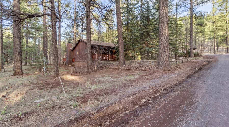 248 E Sky High Rd Pinetop (37)