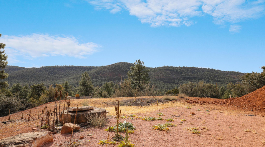 Land at front of home