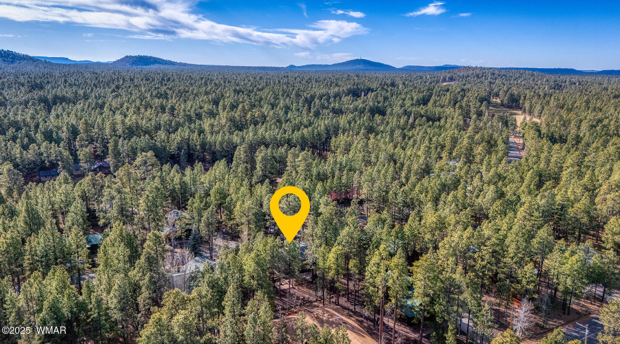 Aerial Pinetop CC Area