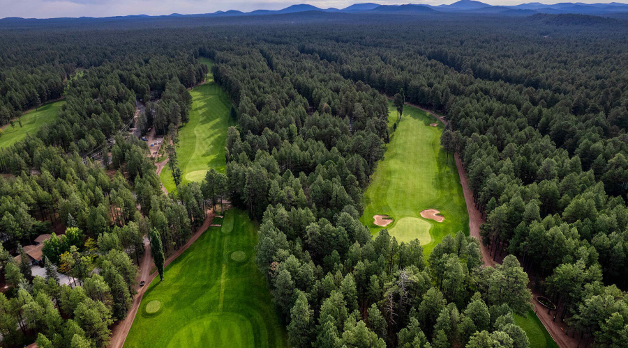 Pinetop CC Golf View