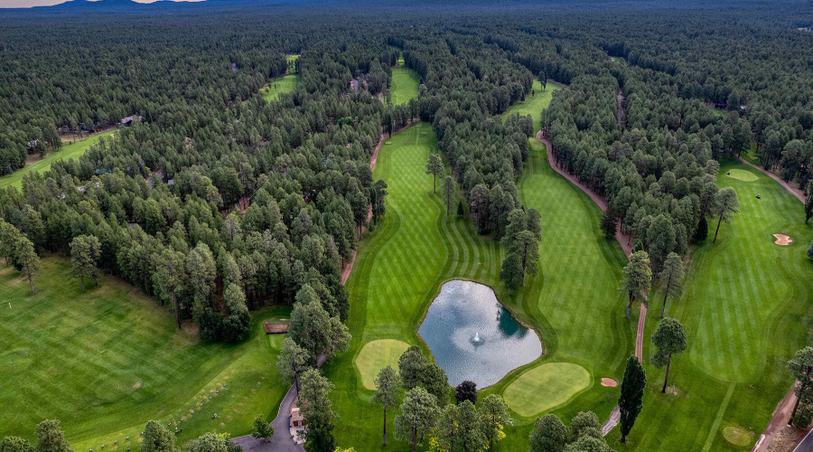 Pinetop CC Golf View3