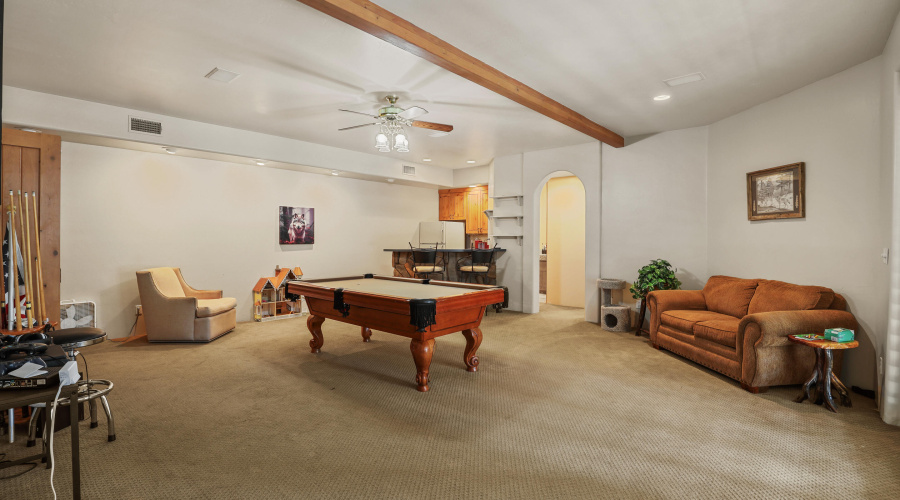 Downstairs Living Area