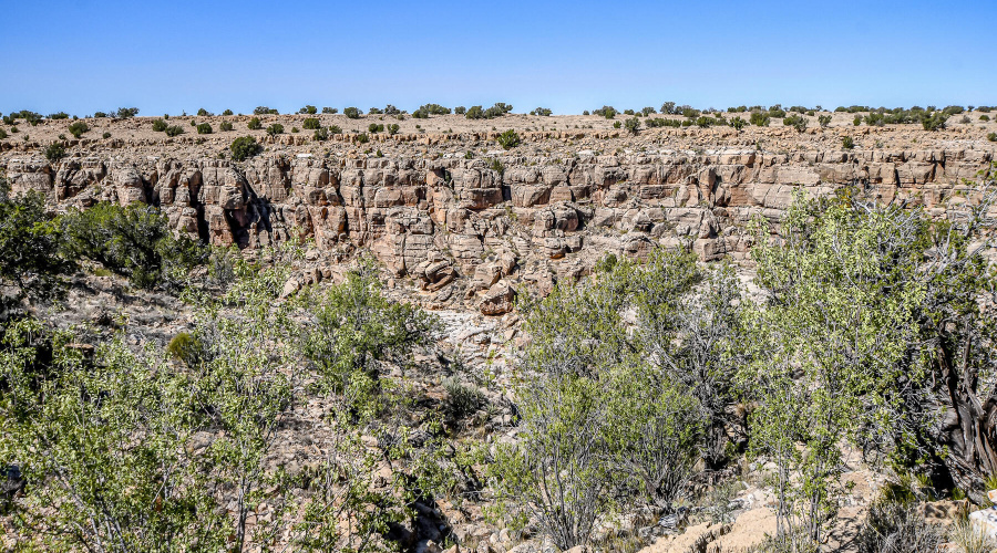 Canyon Views