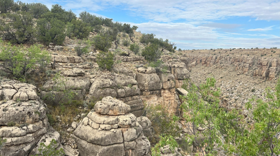 Canyon Views