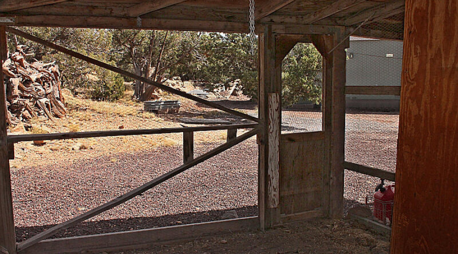 Chicken Coop