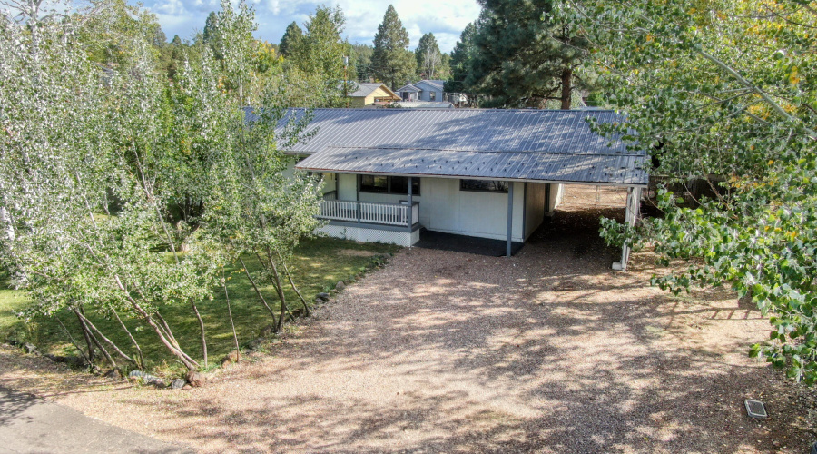 Drivethrough Carport