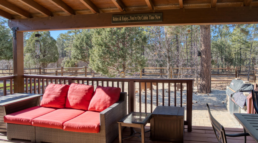 Covered Back Deck