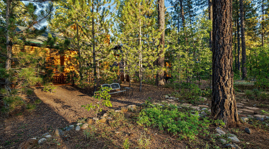 Back of home surrounded by trees