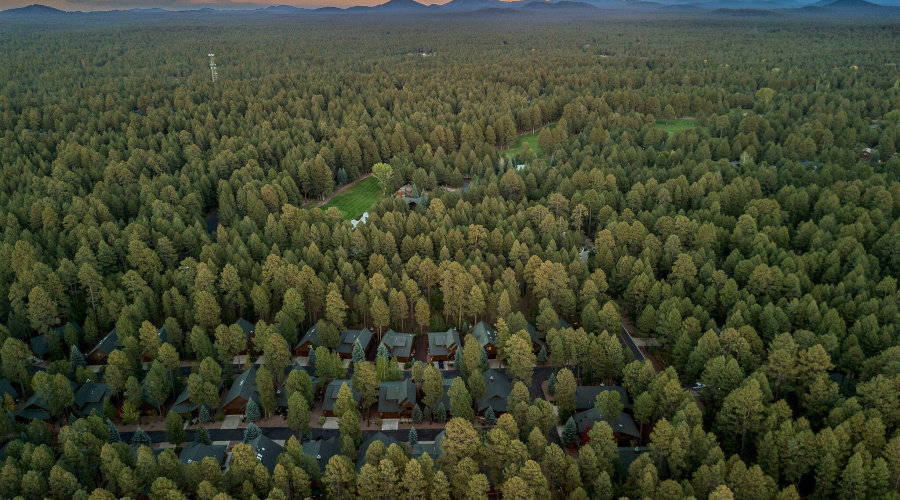 Aerial View of Community