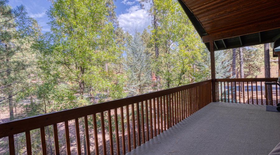 Exterior Back Porch