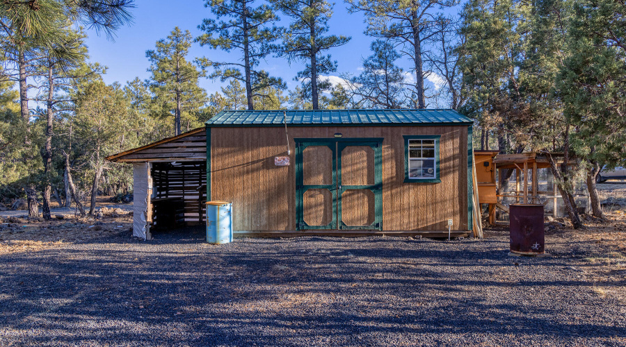 Work shop and chicken coup