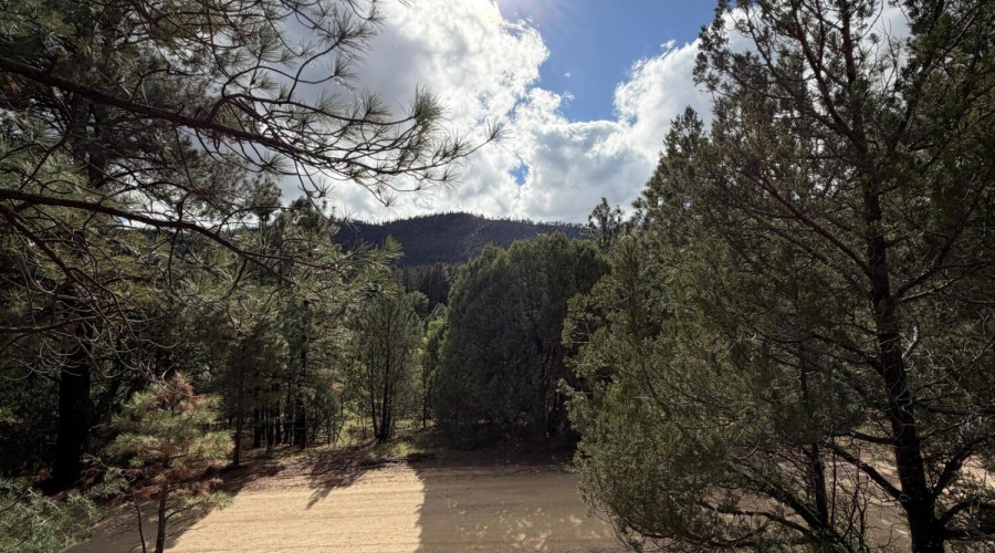 75 County Road 2108, Nutrioso