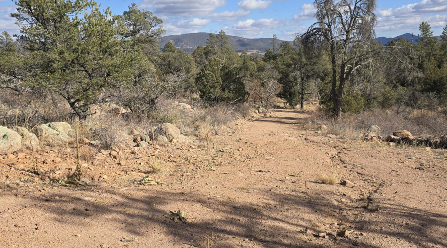 Bldg Pad NE & Driveway to it