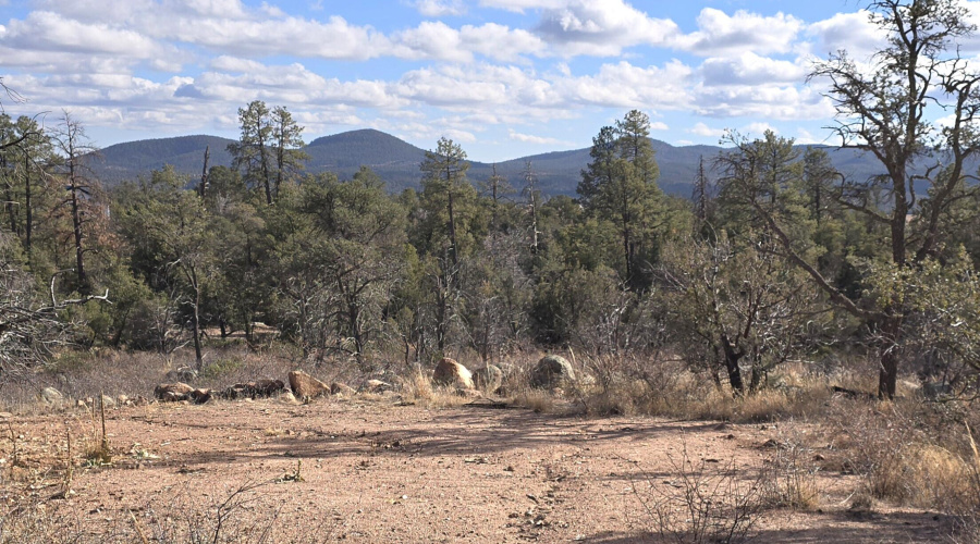 View South fr NE Bldg Pad