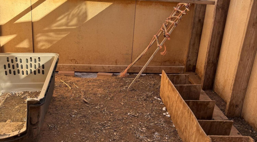 Inside of Chicken Coop