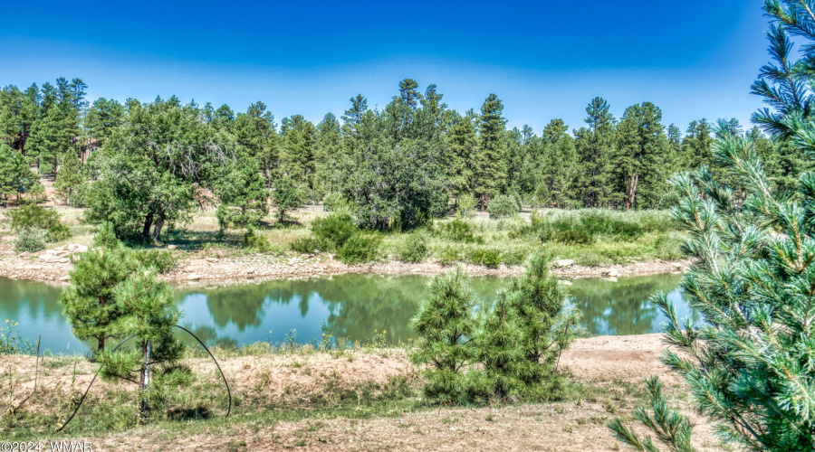 Torreon Lakes