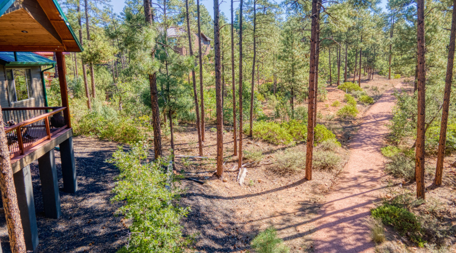 Backyard walking path