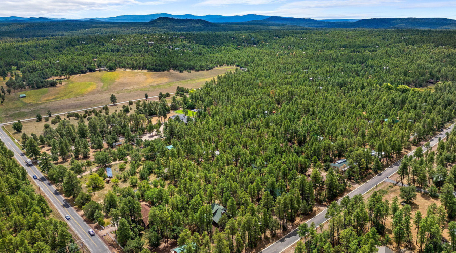 1683SHartLakeLn-Pinetop-AZ-31