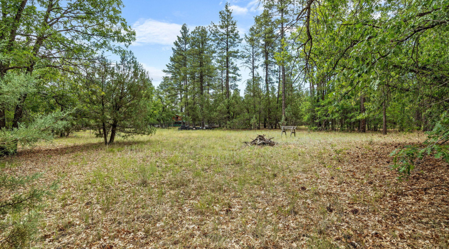 1683SHartLakeLn-Pinetop-AZ-28