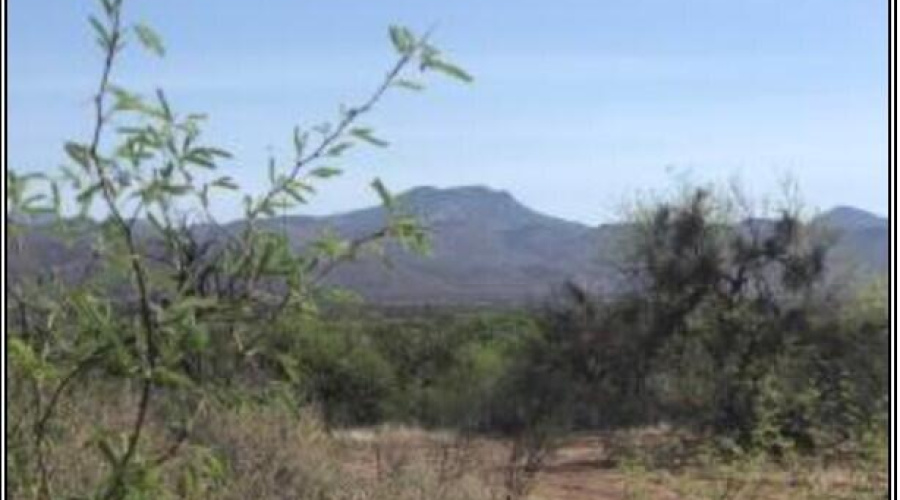 Screenshot 2024-11-17 101626