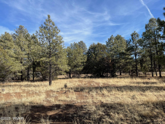 47 County Road 2018, Nutrioso, Arizona 85932, ,Land,For Sale,County Road 2018,254371