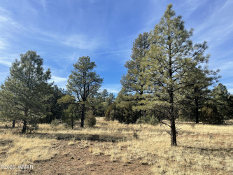 43 County Road 2018, Nutrioso, Arizona 85932, ,Land,For Sale,County Road 2018,254370