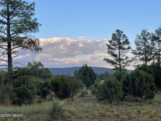 3621 Mountain Creek Trail, Lakeside, Arizona 85929, ,Land,For Sale,Mountain Creek,254411