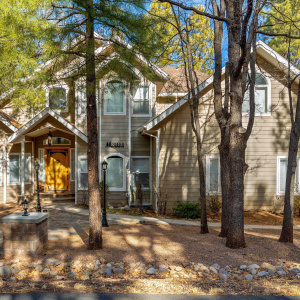 Home in the Trees