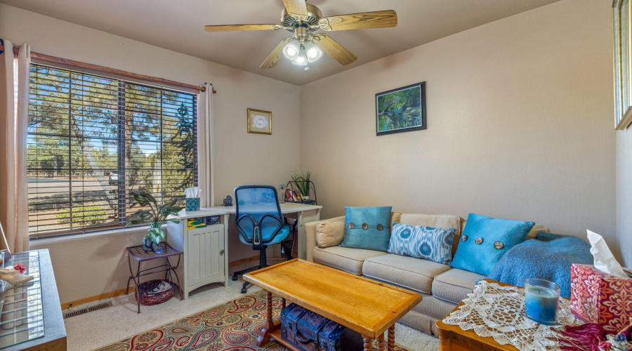 2337PumaCir-HeberOvergaard-AZ-14