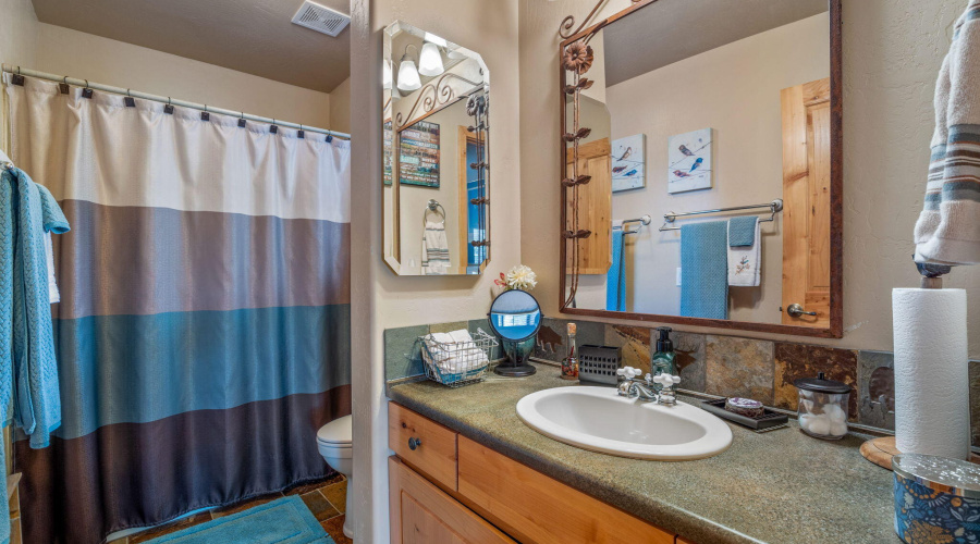 2337PumaCir-HeberOvergaard-AZ-15