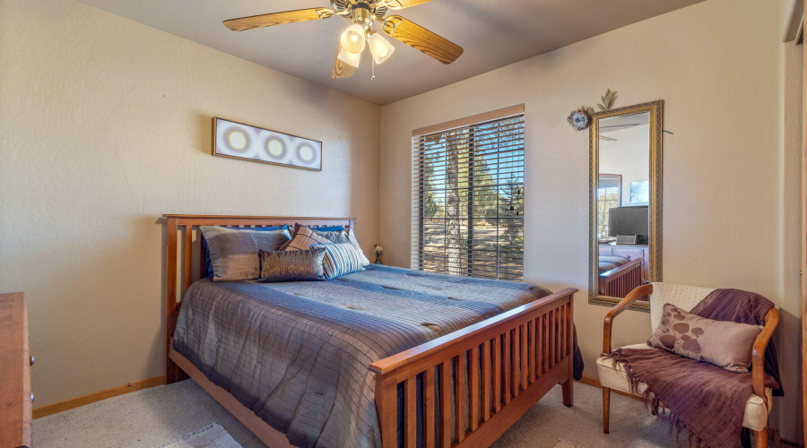 2337PumaCir-HeberOvergaard-AZ-16