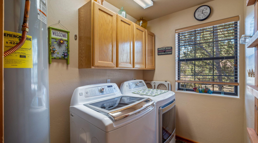 2337PumaCir-HeberOvergaard-AZ-17