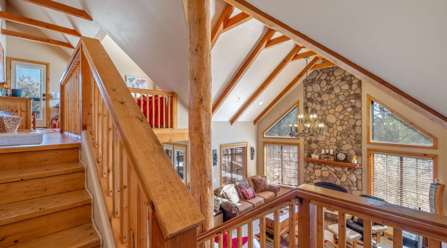 2337PumaCir-HeberOvergaard-AZ-18