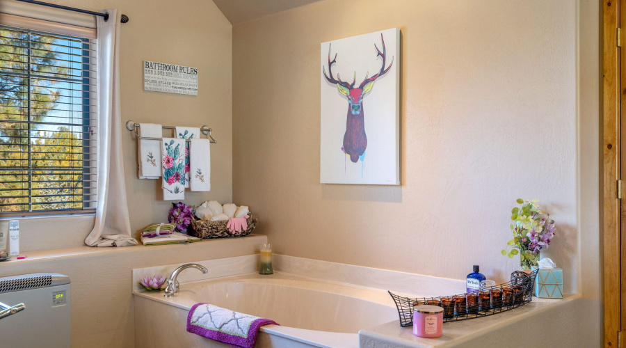 2337PumaCir-HeberOvergaard-AZ-25