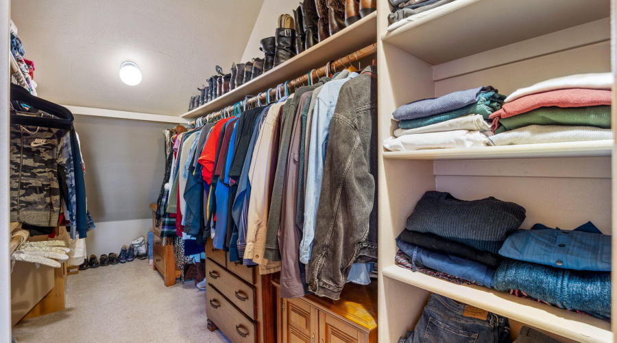 2337PumaCir-HeberOvergaard-AZ-26