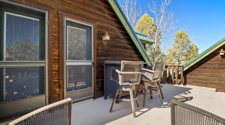 2337PumaCir-HeberOvergaard-AZ-27