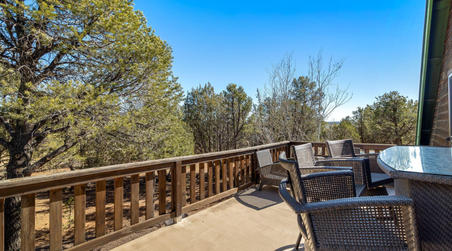 2337PumaCir-HeberOvergaard-AZ-28