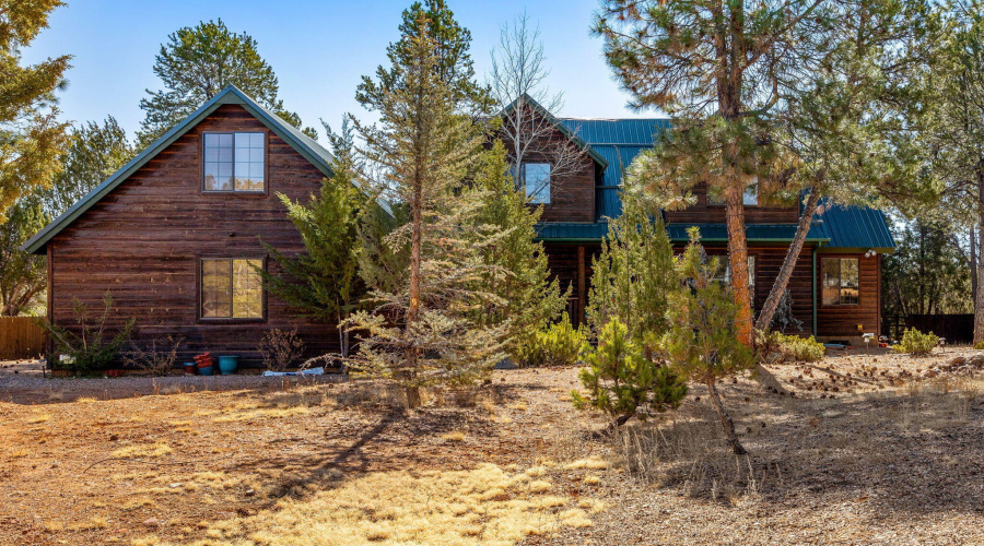 2337PumaCir-HeberOvergaard-AZ-1