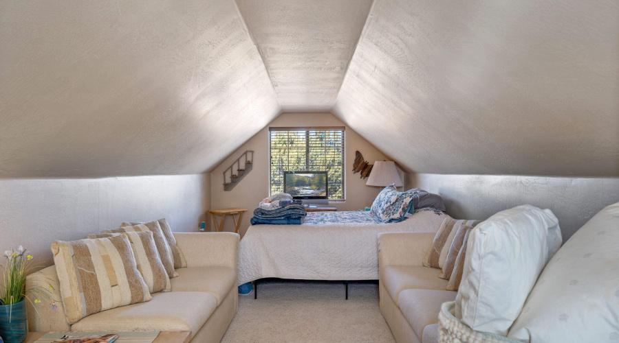 2337PumaCir-HeberOvergaard-AZ-30