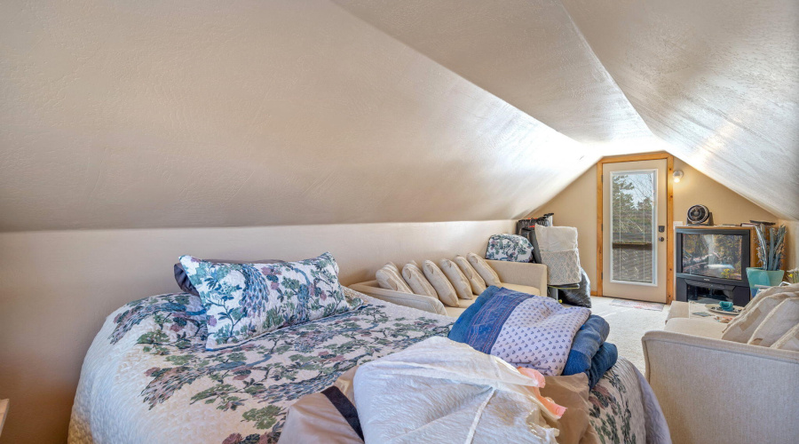 2337PumaCir-HeberOvergaard-AZ-31