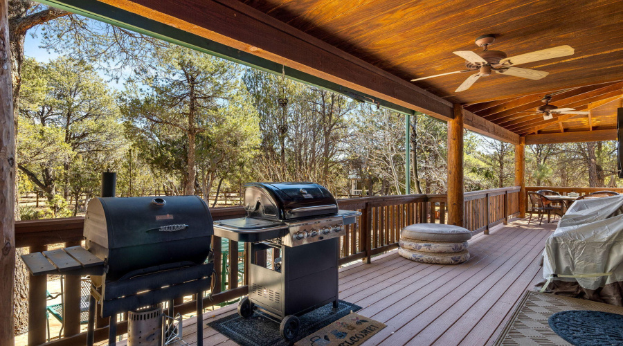 2337PumaCir-HeberOvergaard-AZ-32