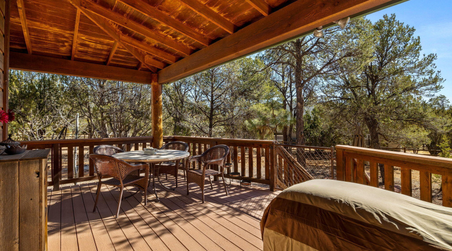 2337PumaCir-HeberOvergaard-AZ-33