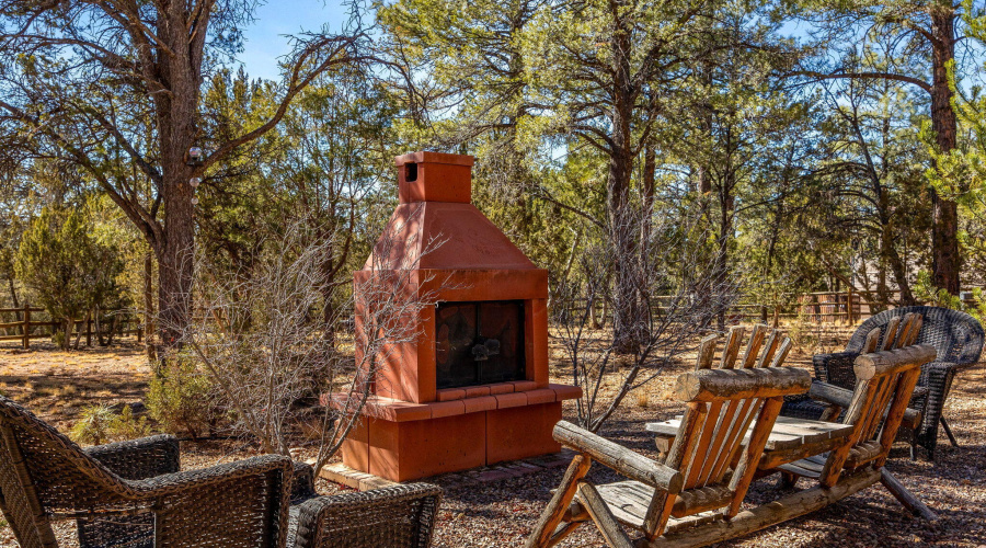 2337PumaCir-HeberOvergaard-AZ-35