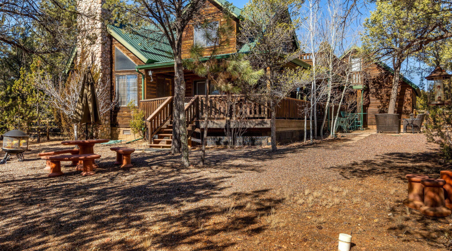 2337PumaCir-HeberOvergaard-AZ-36